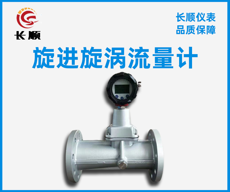 旋進(jìn)旋渦流量計(jì) 旋進(jìn)旋渦流量計(jì)