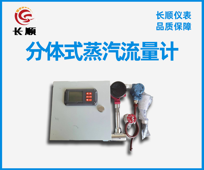 分體式蒸汽流量計(jì) 分體式蒸汽流量計(jì)